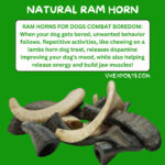 Large Lamb (Ram) Horn For Dogs Chew     RM1