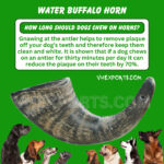 Indian Water Buffalo Horn For Dog Chew VHE6