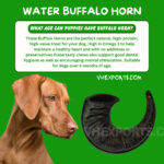 Indian Water Buffalo Horn For Dog Chew VHE5