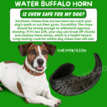 Indian Water Buffalo Horn For Dog Chew VHE3