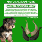 Lamb (Ram) Horn For Dogs Chew     RM3