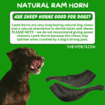 Lamb (Ram) Horn For Dogs Chew     RM4