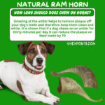Lamb horns are a very long-lasting natural dog chew  RM6